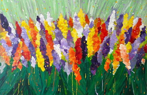 Gladiolus Festival