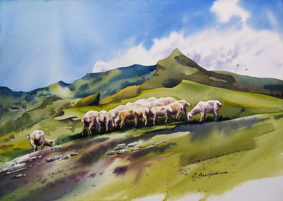 Dagestan. Khunzakh - flock of sheep grazing in the mountains