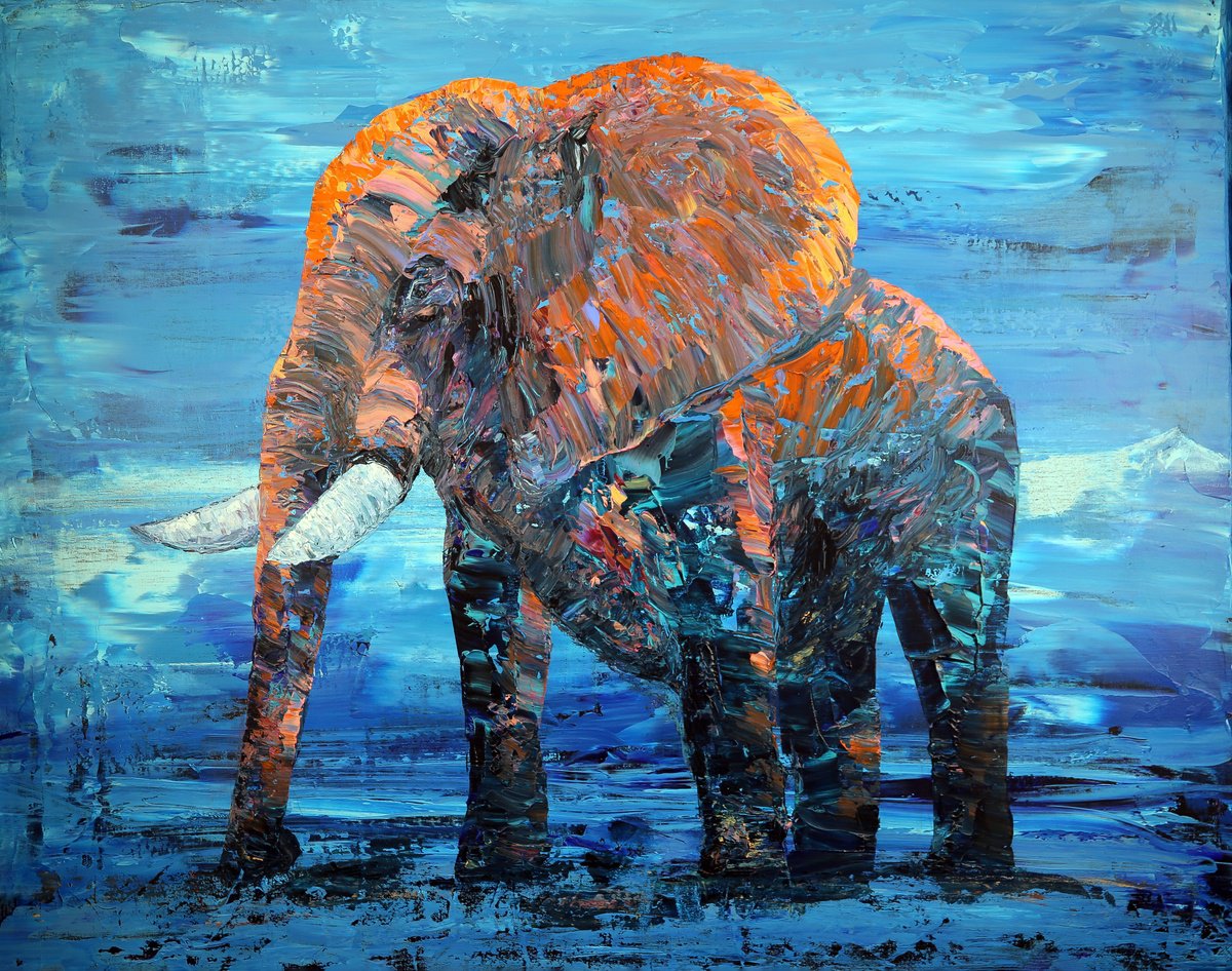 Elephant meets the dawn by Denis Kuvayev