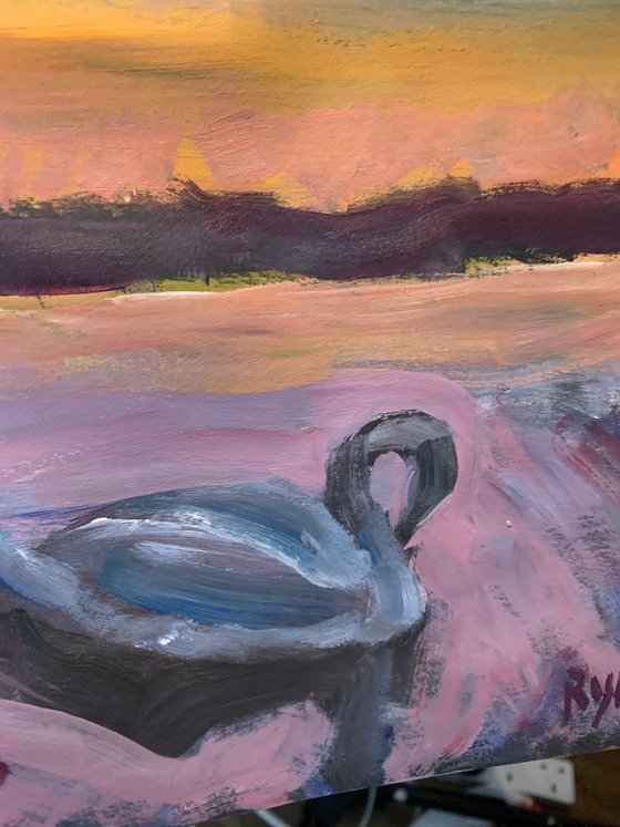 Swan at Sunset