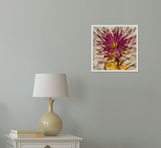 Abstract Flowers #2. Limited Edition 1/25 12x12 inch Photographic Print.