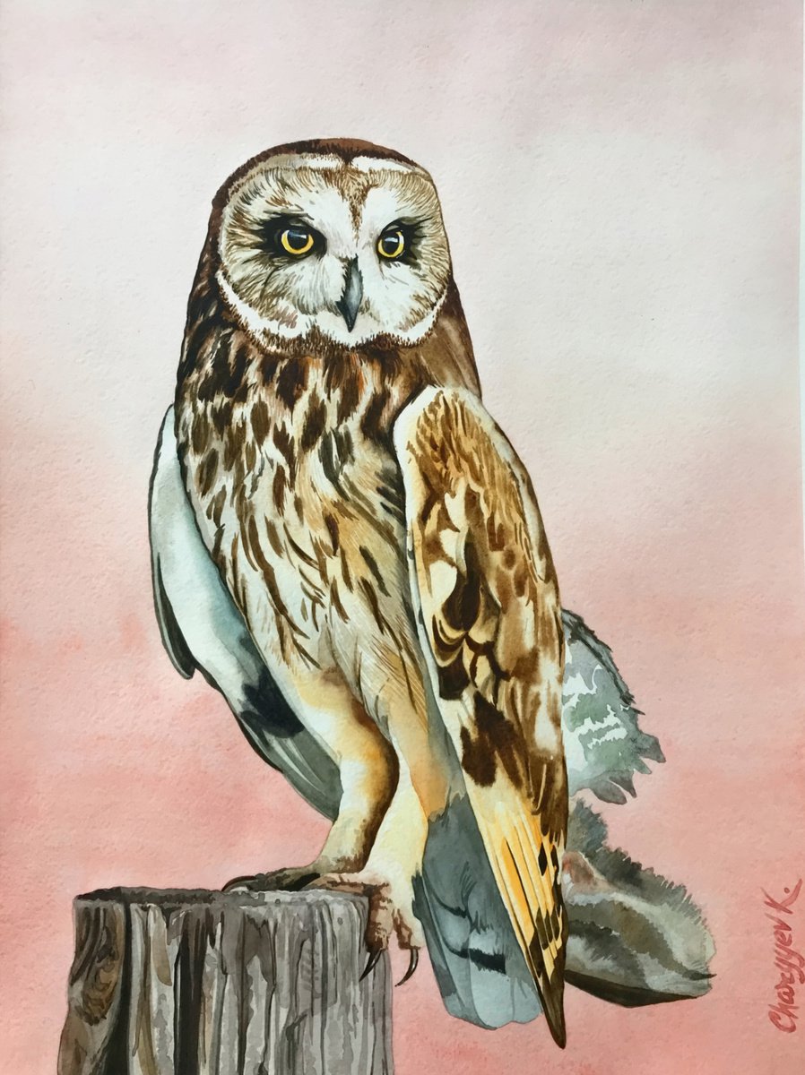 Second owl from the collection Watercolor birds by Kakajan Charyyev