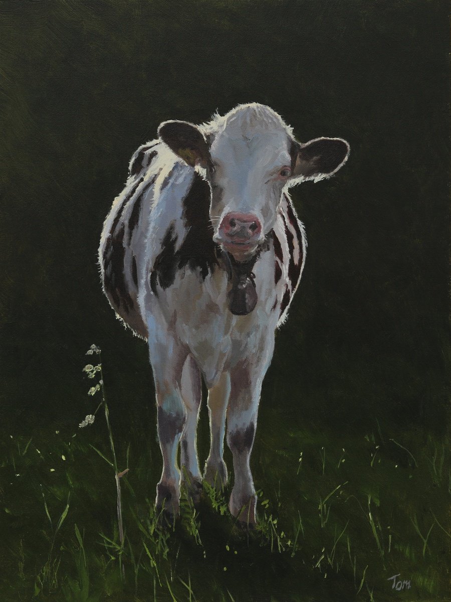 Swiss Holstein Cow by Tom Clay