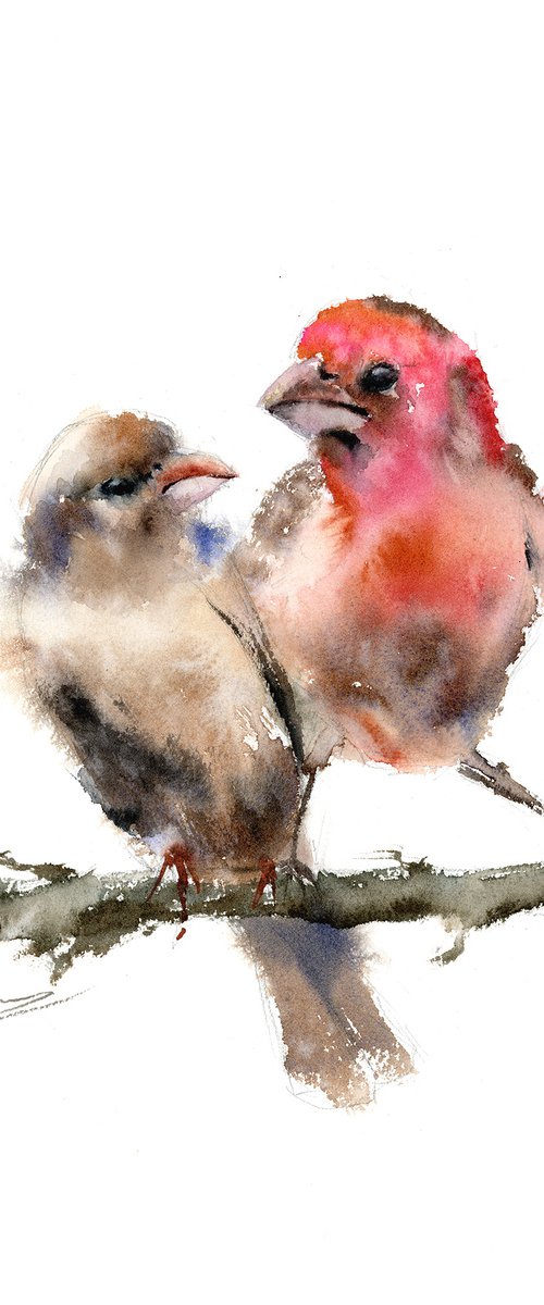 Two purple finches by Olga Tchefranov (Shefranov)