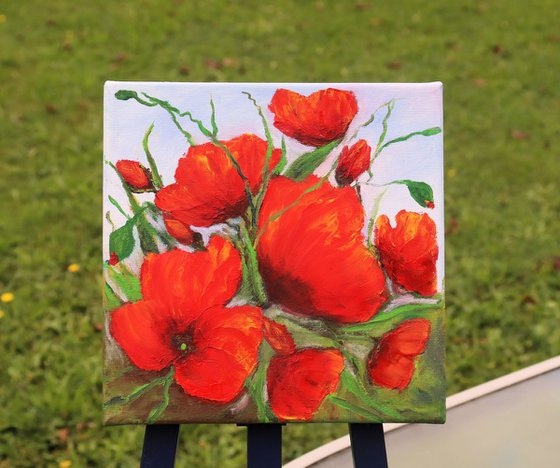 Red poppies flowers