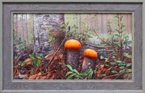 Mushrooms in the forest by Dmitrij Tikhov