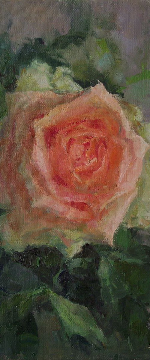 Rose by Vachagan Manukyan