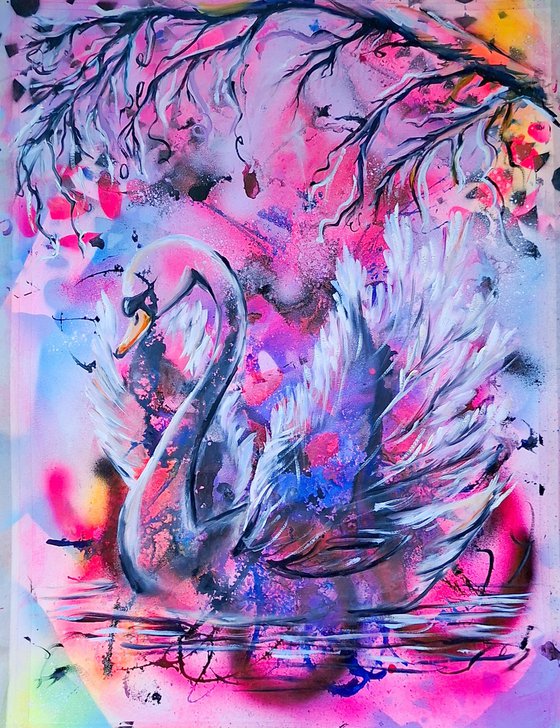 Transcendental Swan