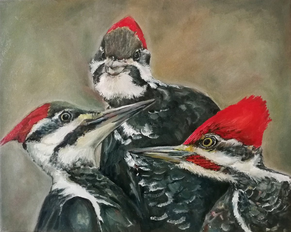 Photorealistic Animal Oil Painting By Jura Kuba Art, 20 X 16", Family Portrait Of Woodpeckers, Original Artwork