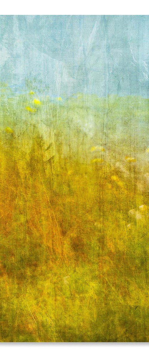 Wild Flowers at Stenness - Yellow Floral Abstract - Orkney by Lynne Douglas