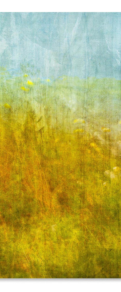 Wild Flowers at Stenness by Lynne Douglas