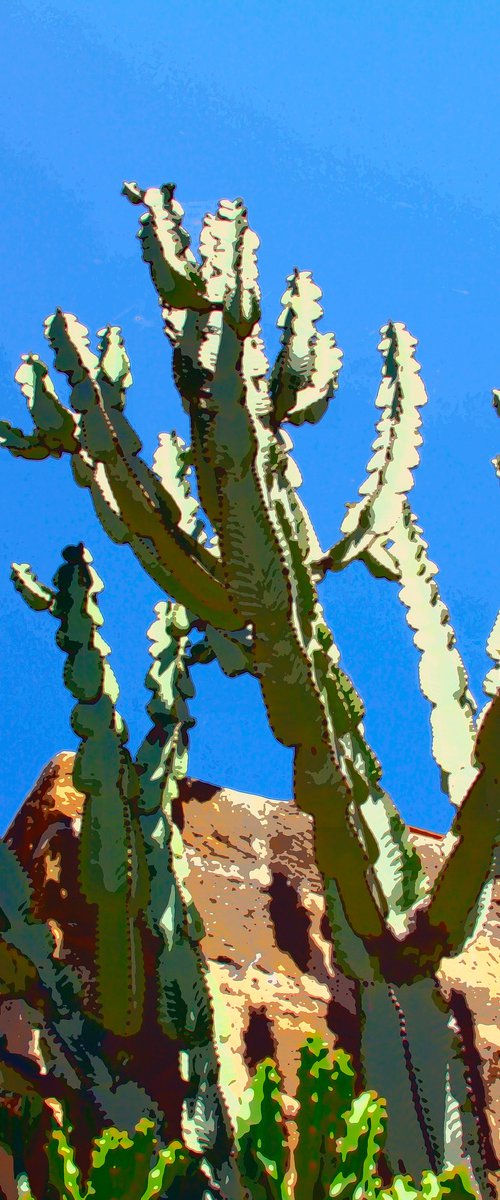 REACH FOR SKY Coachella Valley CA by William Dey