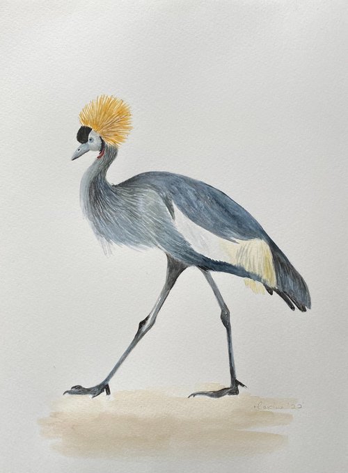 Crane by Maxine Taylor