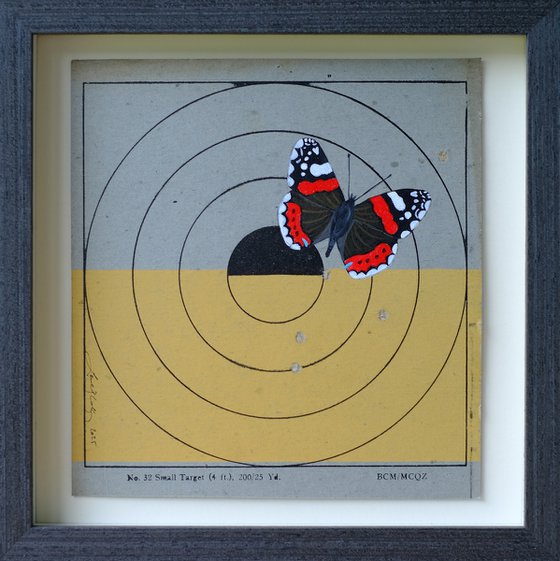 Red admiral on target