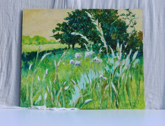 The Meadow That Sings
