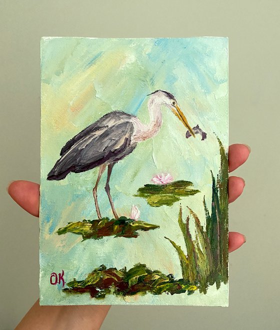 Fishing heron