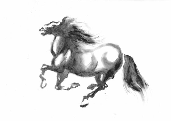 HORSE