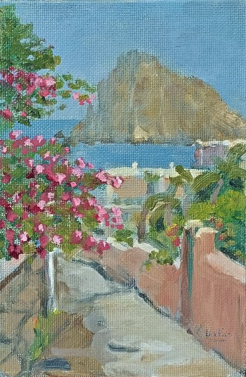 view of Datillo from a back road, Panarea (ME) by alberto valentini