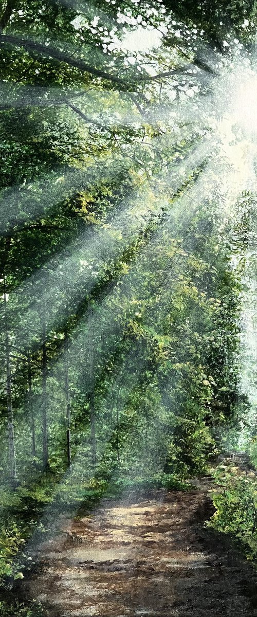 Nature's Secret by Victoria Obolensky