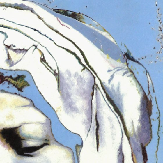 Michelangelo's Virgin