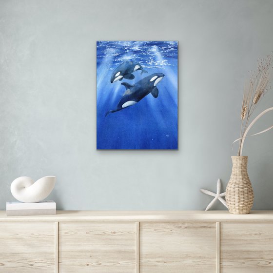Two killer whales underwater. Original artwork.