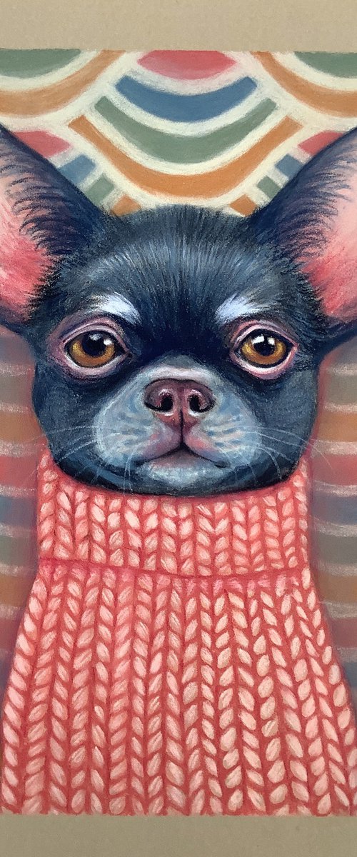 ZIGGY by Eva Fialka