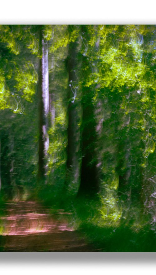 The Secret Path, Scottish Highlands by Lynne Douglas