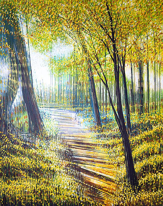 Sunlight Through Autumn Trees