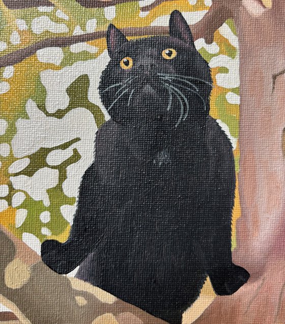 Cat In The Tree