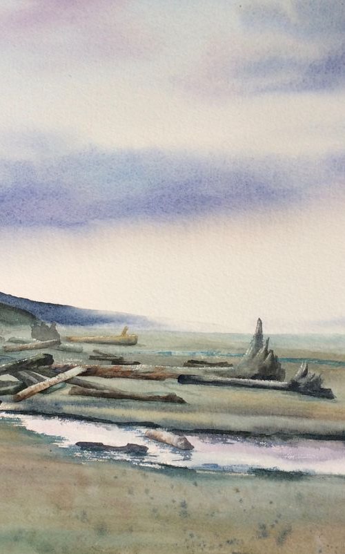 Oregon coast by Silvie Wright