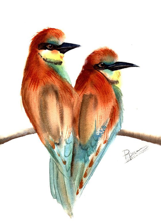 Couple Bee Eater birds on the branch