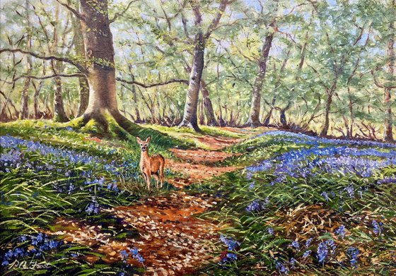 Roe Amoung the Bluebells