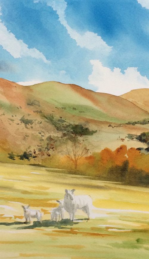 Spring on Stretton hills by Silvie Wright