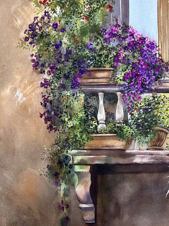 Window with flowers , Venice