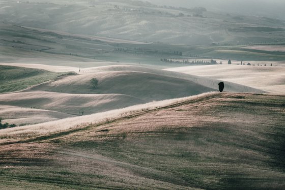 Summer among the Tuscan Hills