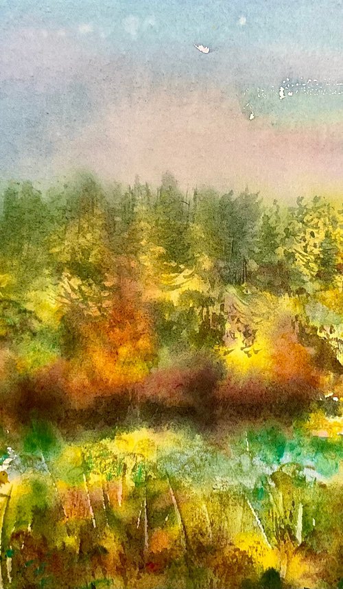 Wild broom valley, Exmoor by Samantha Adams