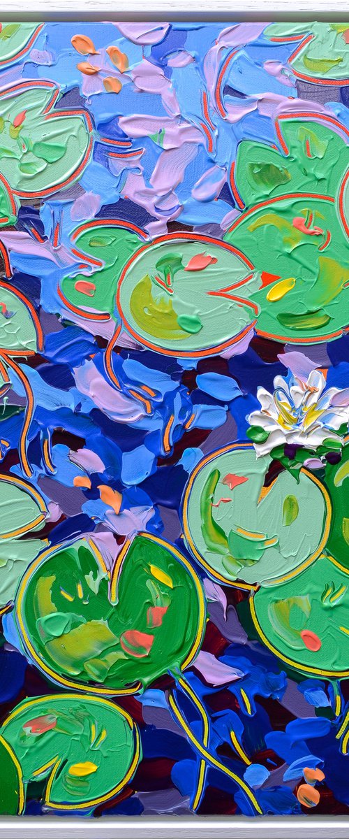 Tasman Lily Pond 26 by Joseph Villanueva