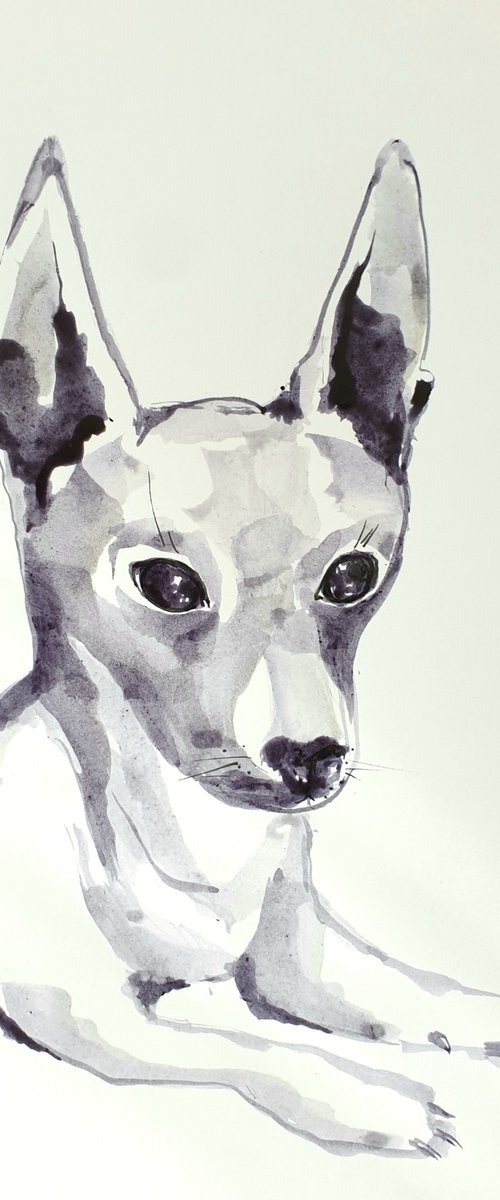 Small dog portrait by Ksenia June