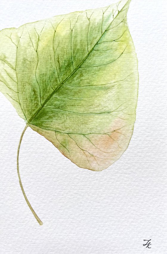 Autumn leaf Sketch #5