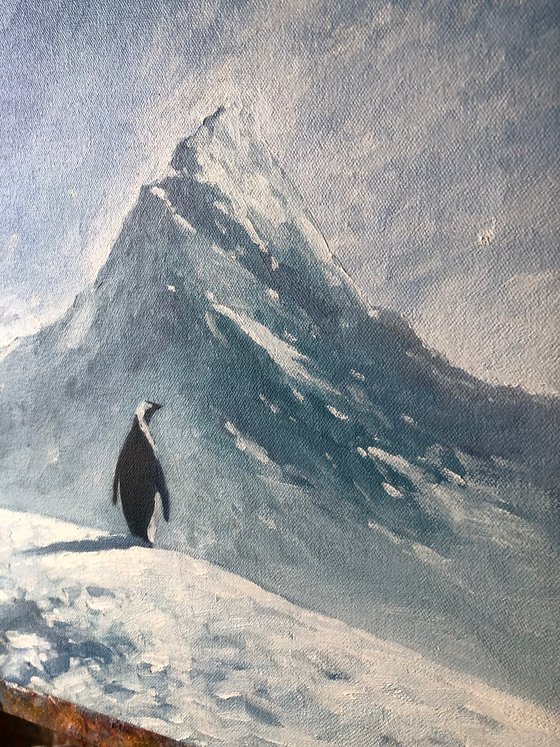 Lonely penguin, but why?