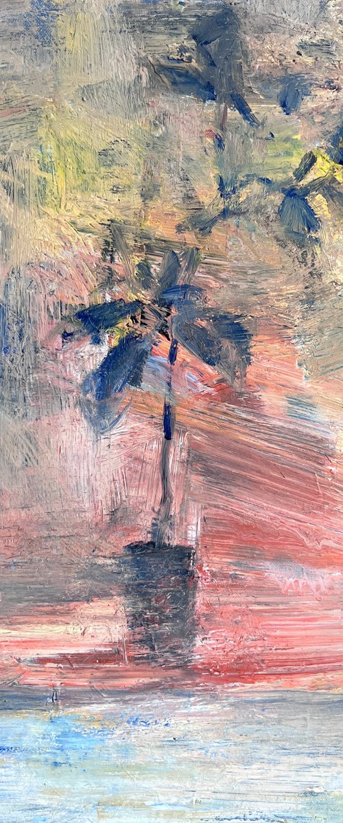 Ficus on Windowsill at Sunset by Zakhar Shevchuk
