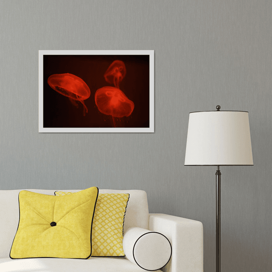 At the aquarium #4 | Limited Edition Fine Art Print 1 of 10 | 60 x 40 cm