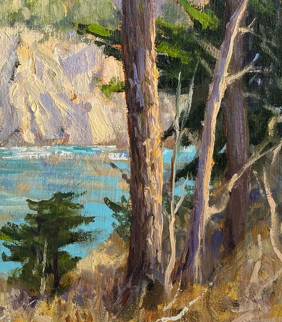 Point Lobos Cove View Plein Air Landscape
