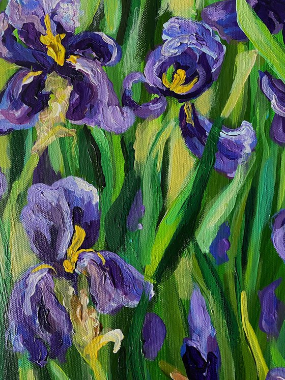 Iris Garden