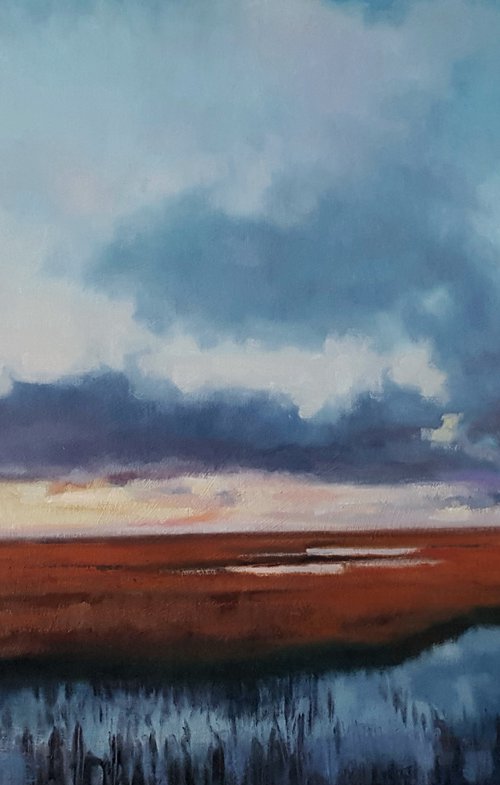 Saltmarsh at Dusk by Christopher  Gill