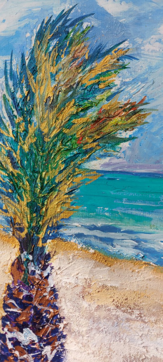 Sea breeze and palm tree