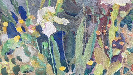 Irises in the garden