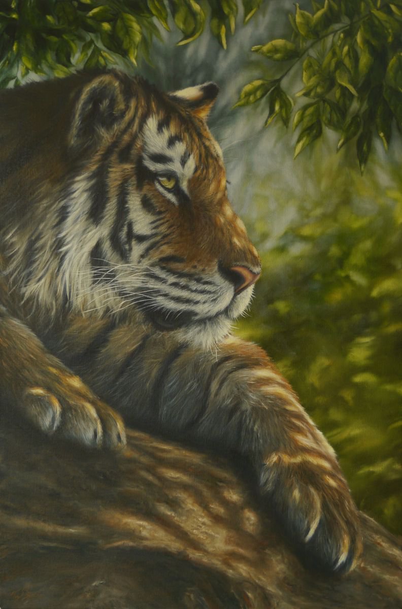 Photorealistic Animal Oil Painting By Tony Berriman, 20 X 30", Pause, Original Artwork
