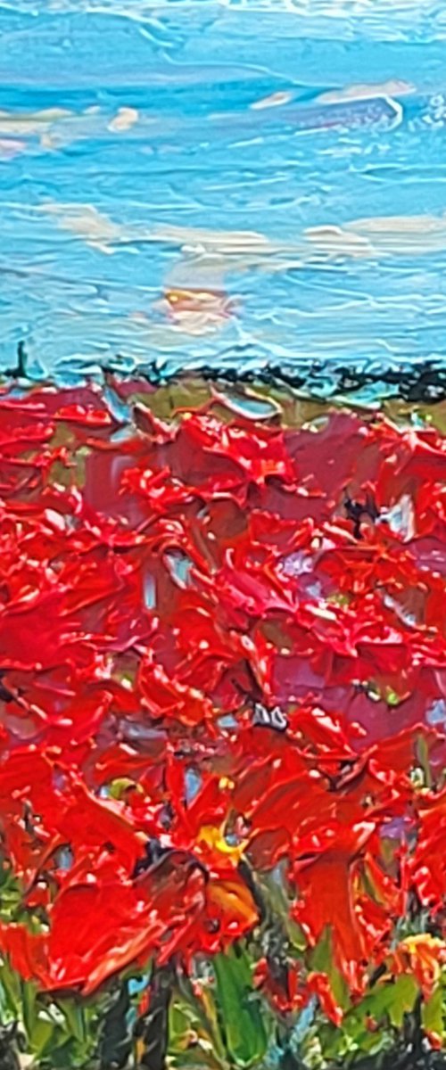 Poppy Dreams by Niki Purcell