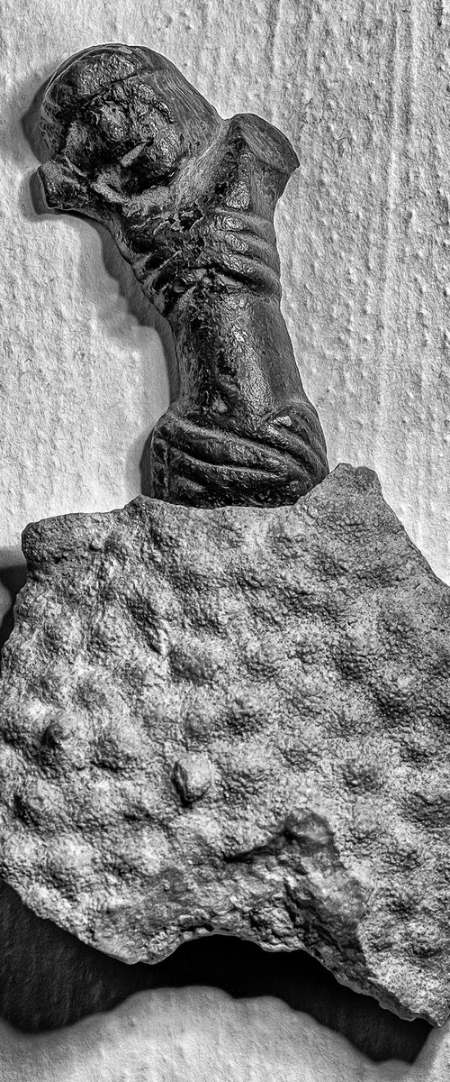 Anti-Creationism I by Lionel Le Jeune